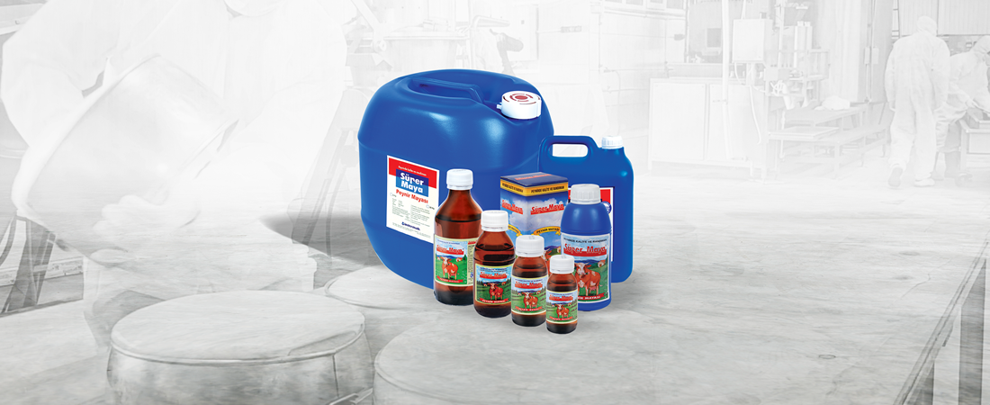 Quality and Yield in Cheese Yeast