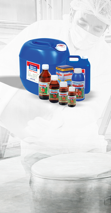 Quality and Yield in Cheese Yeast