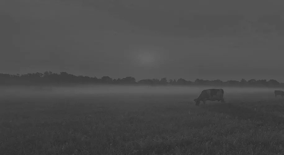 Sensitive to Human and Environment